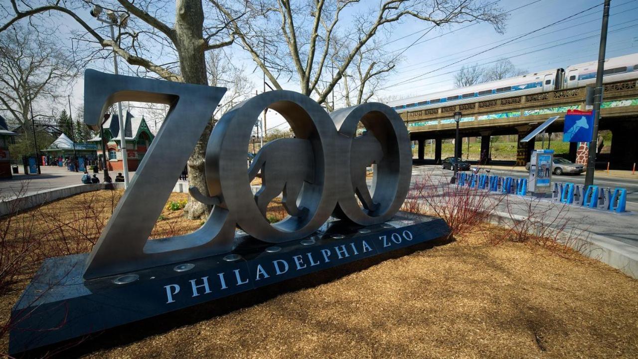 Trendy Fairmount Gem-5 Star Location, Roof Deck, Parking, Gr8 For Families Apartment Philadelphia Ngoại thất bức ảnh